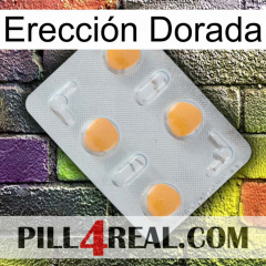 Erección Dorada 24